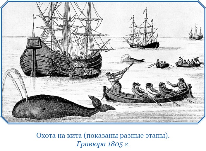 Иллюстрация к книге — Путешествие по Сибири и Ледовитому морю [i_052.jpg]