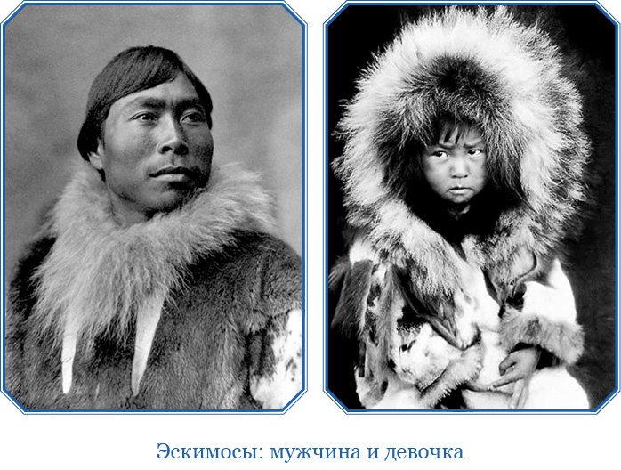 Иллюстрация к книге — Путешествие по Сибири и Ледовитому морю [i_088.jpg]