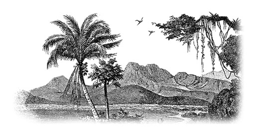 Иллюстрация к книге — Путешествие в Индию [i_117.jpg]