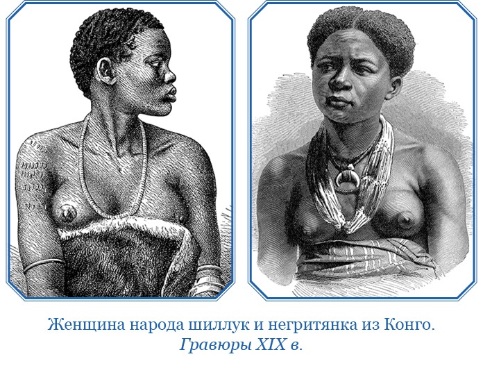 Иллюстрация к книге — Путешествие в Индию [i_126.jpg]