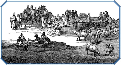 Иллюстрация к книге — Путешествие в Индию [i_150.jpg]