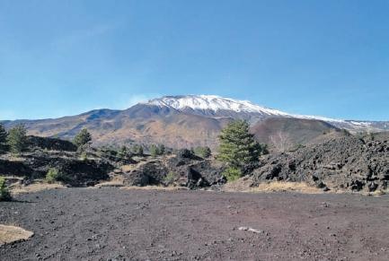 Иллюстрация к книге — Настоящий итальянец [i_003.jpg]