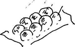 Иллюстрация к книге — Япония: нестандартный путеводитель [img_29.jpg]