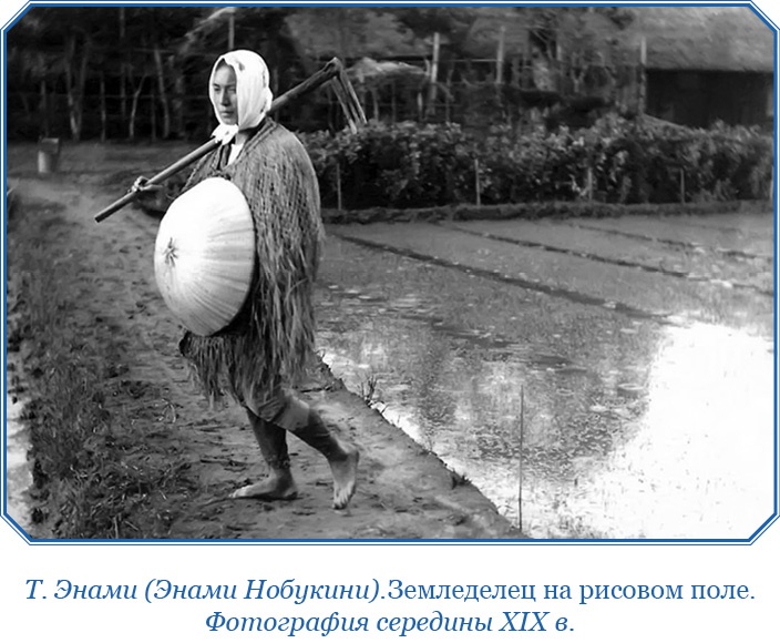 Иллюстрация к книге — Записки капитана флота [i_106.jpg]