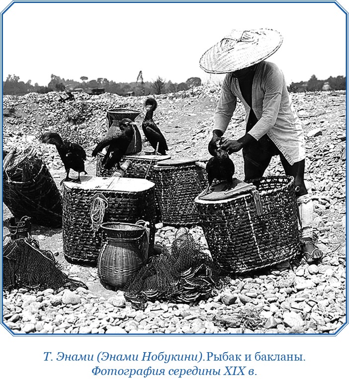 Иллюстрация к книге — Записки капитана флота [i_109.jpg]