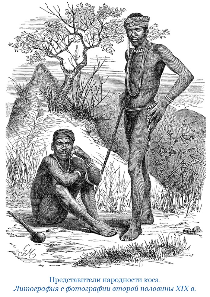 Иллюстрация к книге — Фрегат «Паллада» [i_049.jpg]