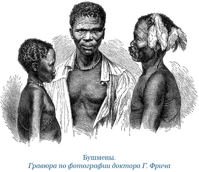 Иллюстрация к книге — Фрегат «Паллада» [i_057.jpg]