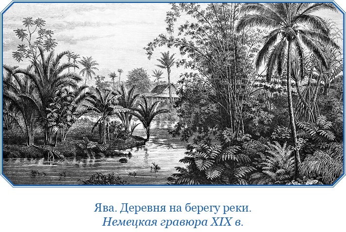 Иллюстрация к книге — Фрегат «Паллада» [i_064.jpg]