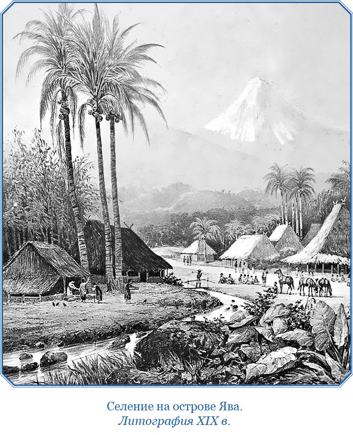 Иллюстрация к книге — Фрегат «Паллада» [i_065.jpg]