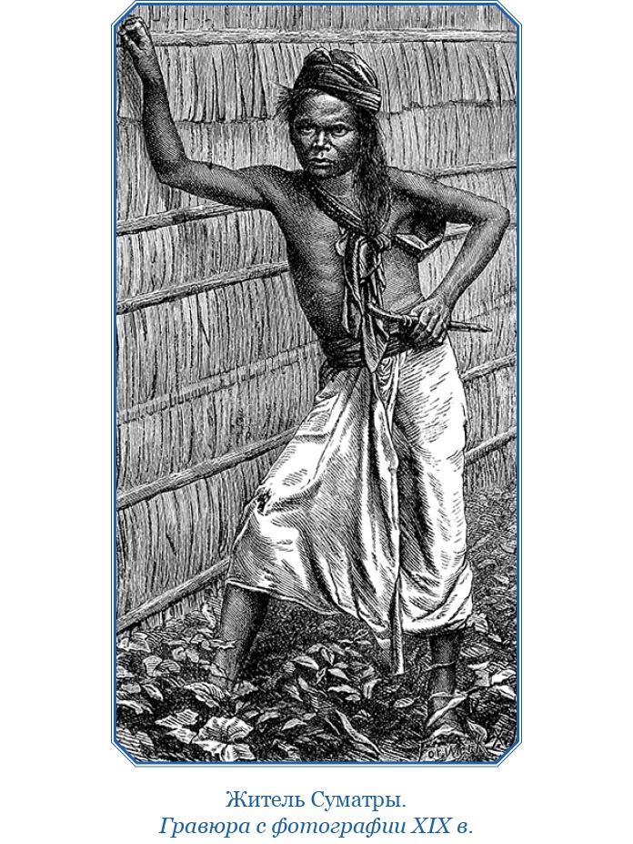 Иллюстрация к книге — Фрегат «Паллада» [i_067.jpg]