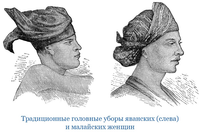 Иллюстрация к книге — Фрегат «Паллада» [i_073.jpg]