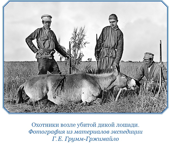 Иллюстрация к книге — По ступеням «Божьего трона» [i_039.jpg]