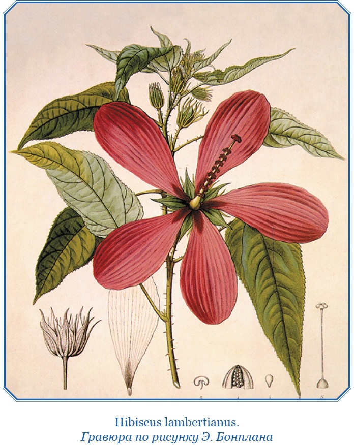 Иллюстрация к книге — Второе открытие Америки [i_017.jpg]