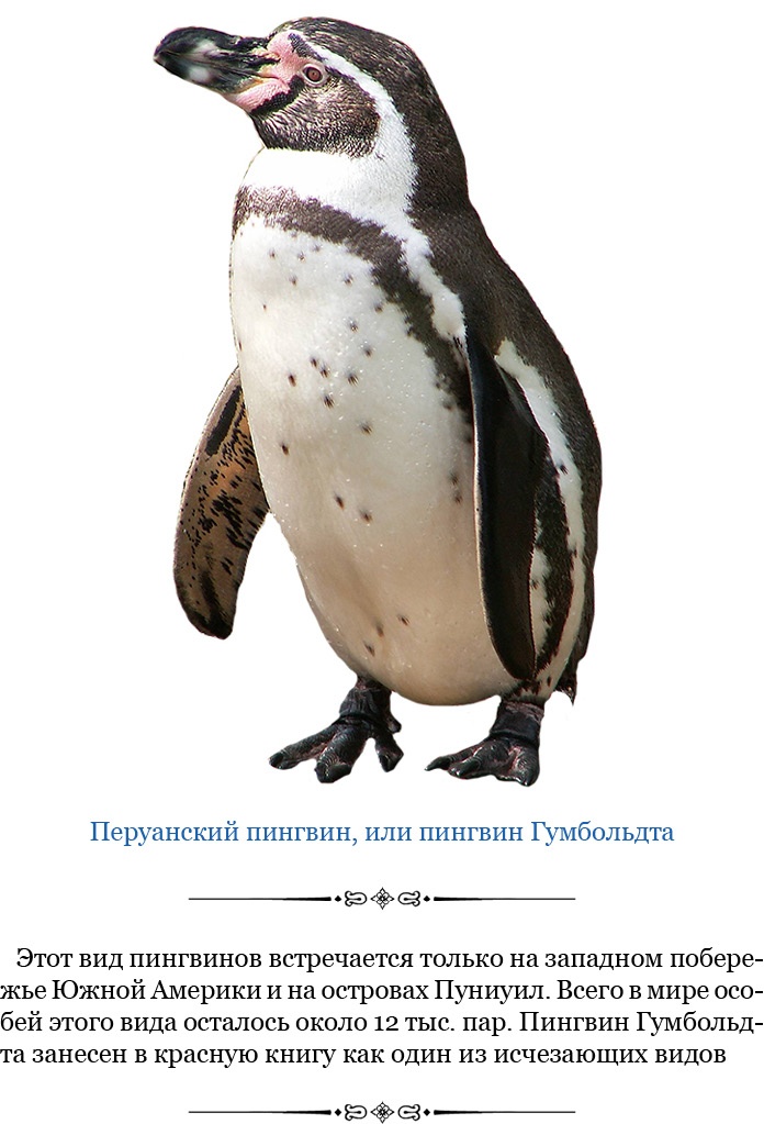 Иллюстрация к книге — Второе открытие Америки [i_025.jpg]