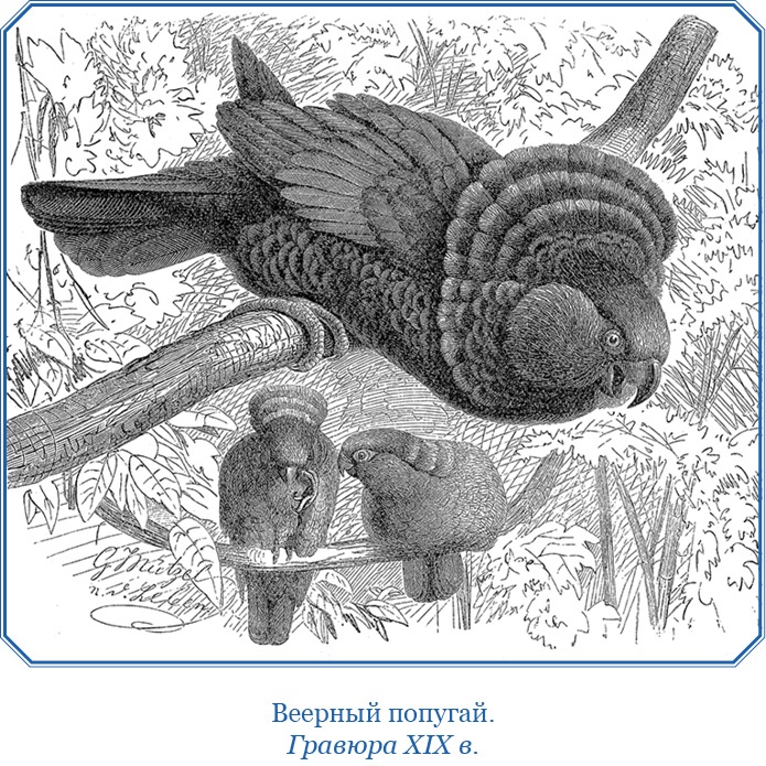 Иллюстрация к книге — Второе открытие Америки [i_050.jpg]