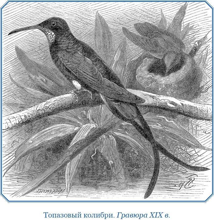 Иллюстрация к книге — Второе открытие Америки [i_059.jpg]