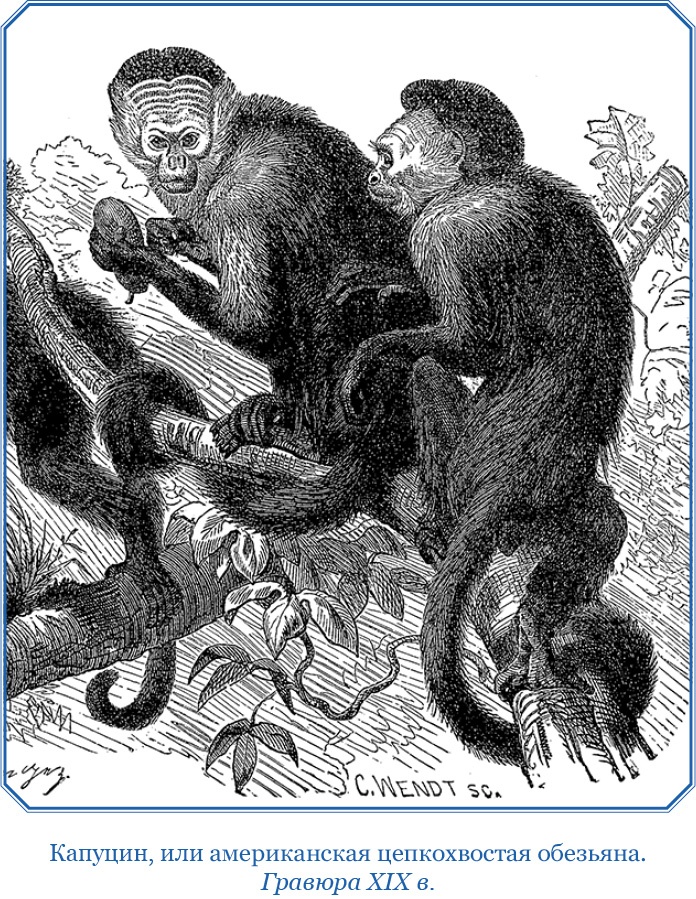 Иллюстрация к книге — Второе открытие Америки [i_067.jpg]