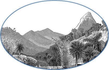 Иллюстрация к книге — Второе открытие Америки [i_069.jpg]