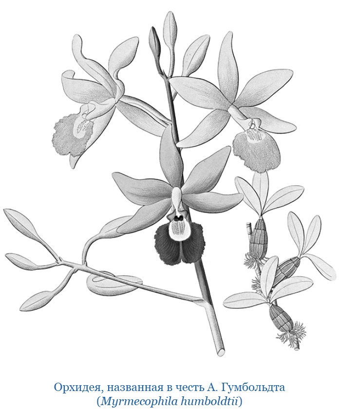 Иллюстрация к книге — Второе открытие Америки [i_074.jpg]