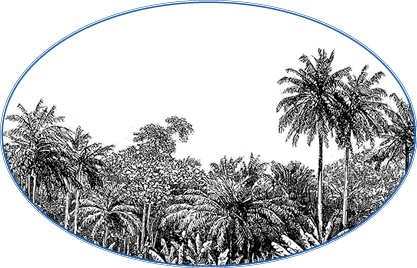 Иллюстрация к книге — Второе открытие Америки [i_082.jpg]