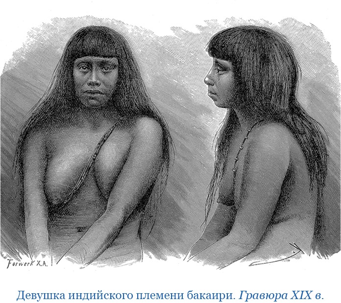 Иллюстрация к книге — Второе открытие Америки [i_097.jpg]