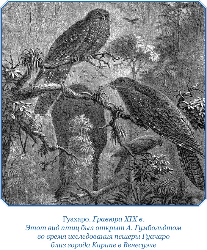 Иллюстрация к книге — Второе открытие Америки [i_099.jpg]