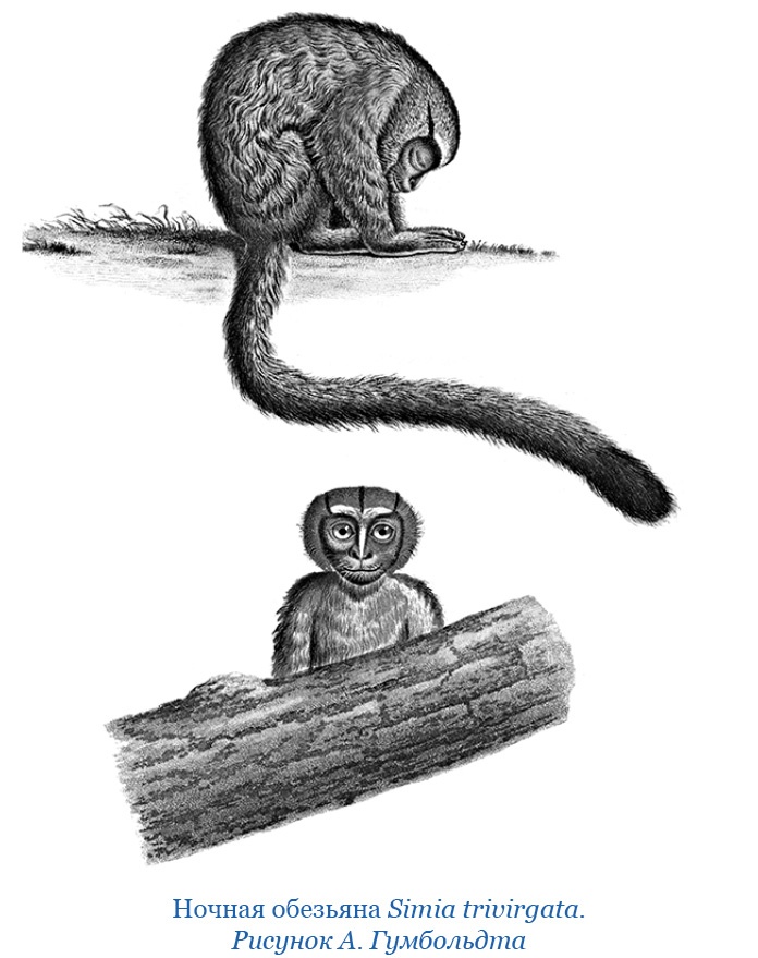 Иллюстрация к книге — Второе открытие Америки [i_101.jpg]