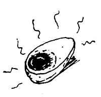 Иллюстрация к книге — Суп из акульего плавника [i_001.jpg]