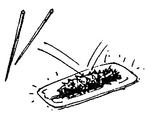 Иллюстрация к книге — Суп из акульего плавника [i_033.jpg]