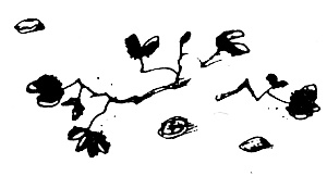 Иллюстрация к книге — Суп из акульего плавника [i_041.jpg]