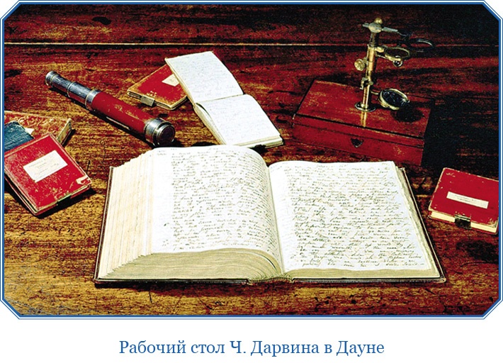 Иллюстрация к книге — Путешествие вокруг света на корабле «Бигль» [i_005.jpg]