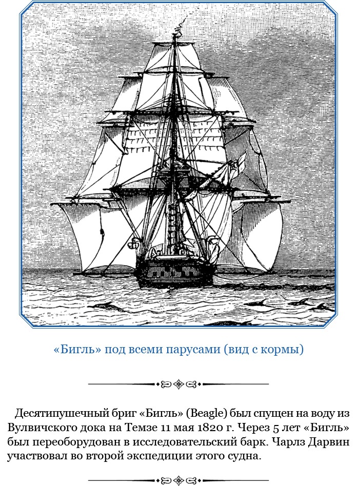 Иллюстрация к книге — Путешествие вокруг света на корабле «Бигль» [i_007.jpg]