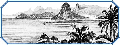 Иллюстрация к книге — Путешествие вокруг света на корабле «Бигль» [i_013.jpg]