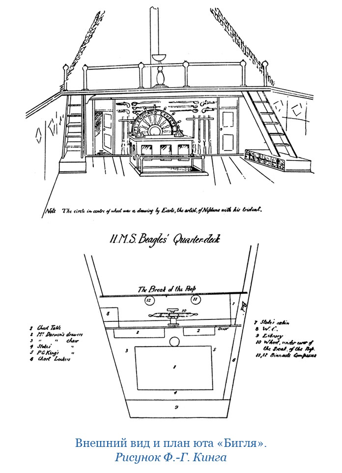 Иллюстрация к книге — Путешествие вокруг света на корабле «Бигль» [i_016.jpg]