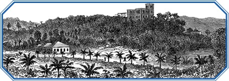 Иллюстрация к книге — Путешествие вокруг света на корабле «Бигль» [i_024.jpg]