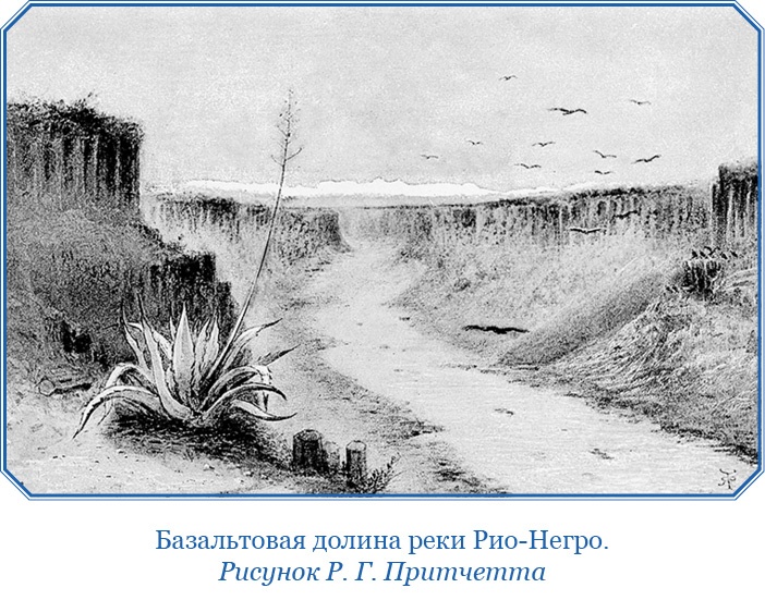 Иллюстрация к книге — Путешествие вокруг света на корабле «Бигль» [i_040.jpg]