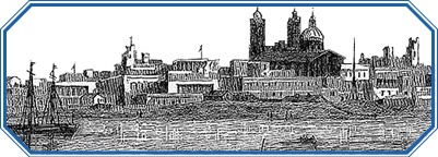 Иллюстрация к книге — Путешествие вокруг света на корабле «Бигль» [i_041.jpg]