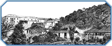 Иллюстрация к книге — Путешествие вокруг света на корабле «Бигль» [i_046.jpg]