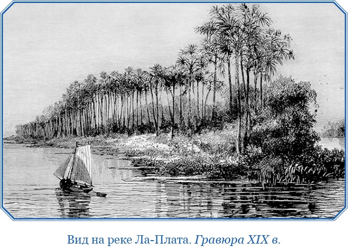 Иллюстрация к книге — Путешествие вокруг света на корабле «Бигль» [i_052.jpg]