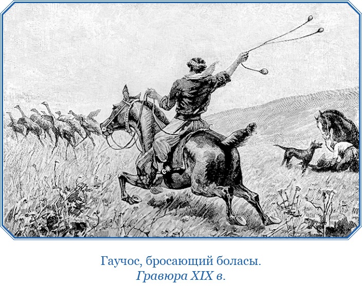 Иллюстрация к книге — Путешествие вокруг света на корабле «Бигль» [i_055.jpg]