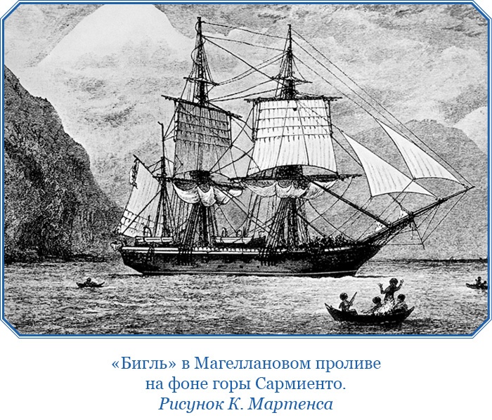 Иллюстрация к книге — Путешествие вокруг света на корабле «Бигль» [i_082.jpg]