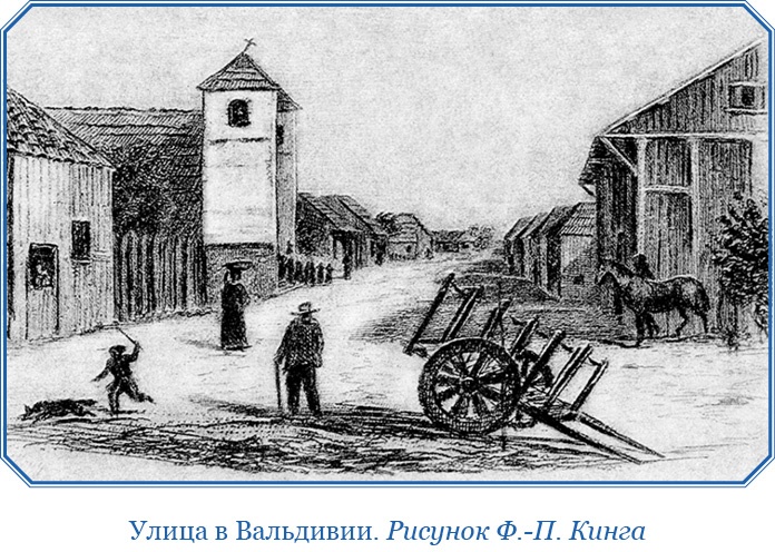 Иллюстрация к книге — Путешествие вокруг света на корабле «Бигль» [i_093.jpg]