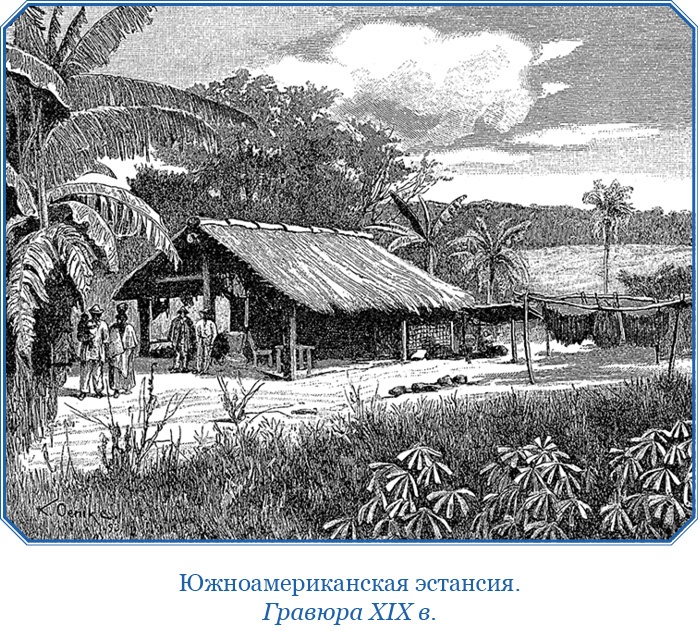 Иллюстрация к книге — Путешествие вокруг света на корабле «Бигль» [i_097.jpg]