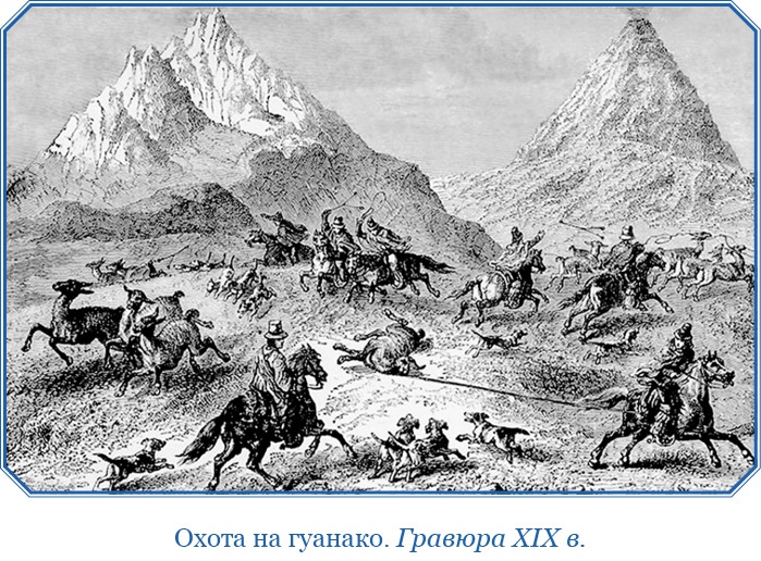 Иллюстрация к книге — Путешествие вокруг света на корабле «Бигль» [i_100.jpg]