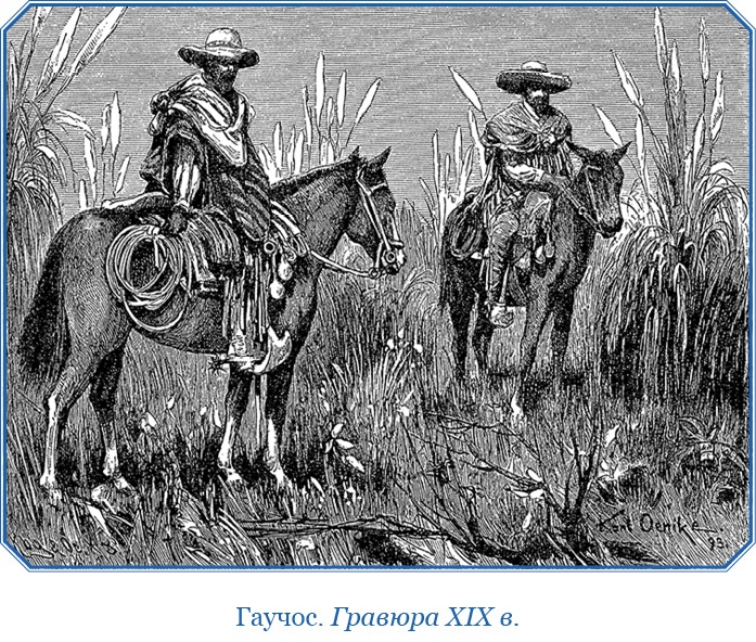 Иллюстрация к книге — Путешествие вокруг света на корабле «Бигль» [i_103.jpg]