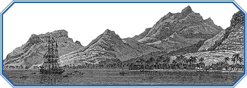 Иллюстрация к книге — Путешествие вокруг света на корабле «Бигль» [i_115.jpg]