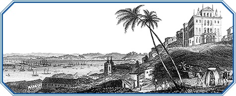 Иллюстрация к книге — Путешествие вокруг света на корабле «Бигль» [i_134.jpg]