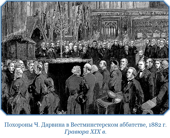 Иллюстрация к книге — Путешествие вокруг света на корабле «Бигль» [i_139.jpg]