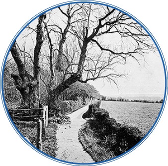 Иллюстрация к книге — Путешествие вокруг света на корабле «Бигль» [i_140.jpg]