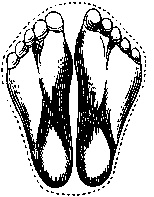 Иллюстрация к книге — Гейши. История, традиции, тайны [img_68.jpg]